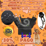 🚗Forro cobertor de auto para mascotas🐾 Envío gratis, 30% de descuento y regalo por tu compra ✨