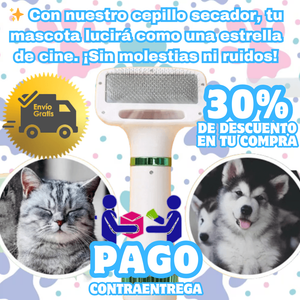 🐾🌈Cepillo secador de pelo para mascotas 🐶🌟 Envío gratis y precios de locura✨